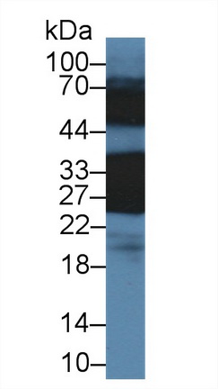 10341
