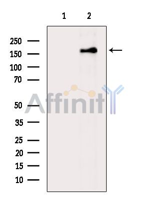 Валидация Affinity DF15959 - 12481