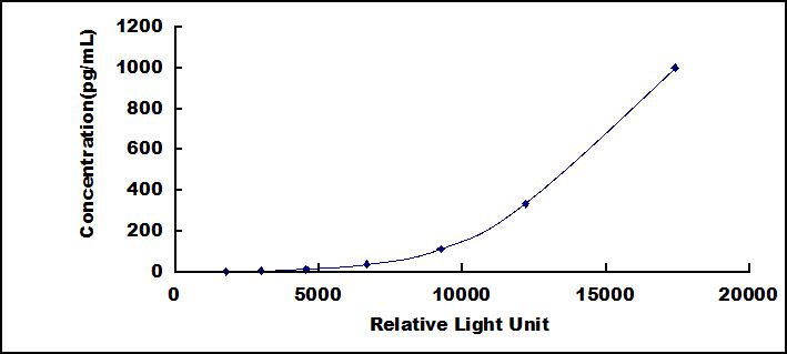 46158