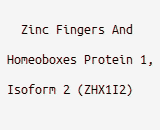 Zinc Fingers And Homeoboxes Protein 1, Isoform 2 (ZHX1I2)