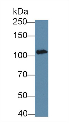 17850