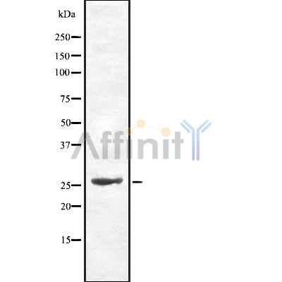 Валидация Affinity DF8520 - 20390