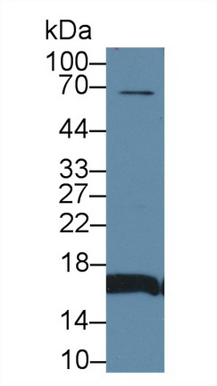 13520