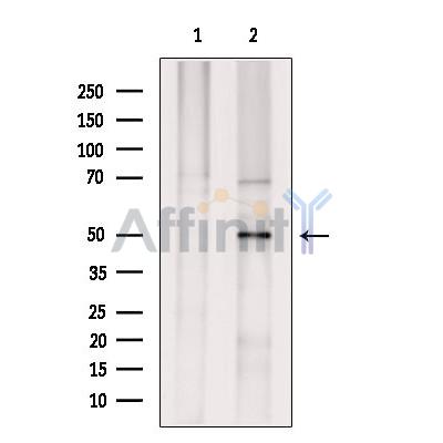 Валидация Affinity DF7622 - 19394
