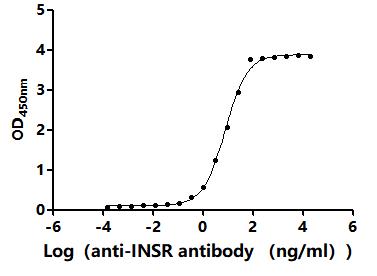 Функциональный ИФА: связывание рекомбинантного антитела к INSR