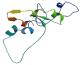 Yip1 Domain Family, Member 5 (YIPF5)