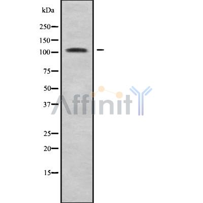 Валидация Affinity DF10140 - 5661