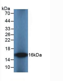 61057
