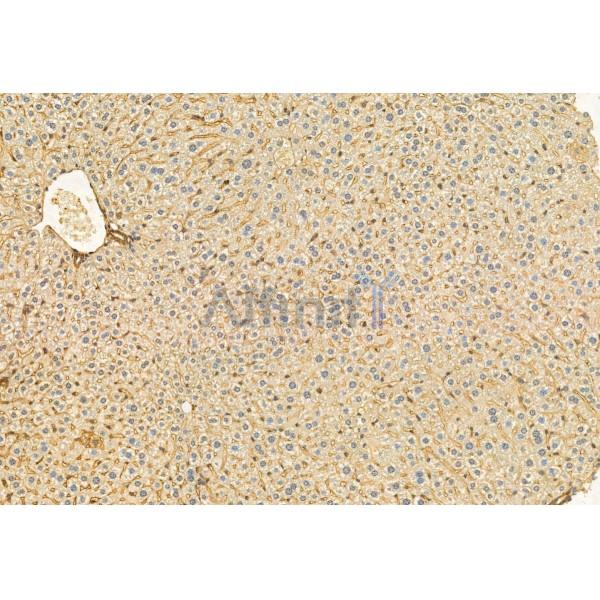 Валидация Affinity DF12068 - 6136