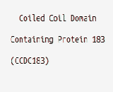 Coiled Coil Domain Containing Protein 183 (CCDC183)