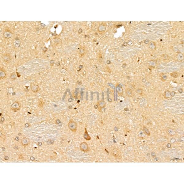 Валидация Affinity DF13128 - 8053