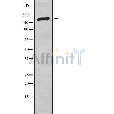 Валидация Affinity DF10200 - 5754