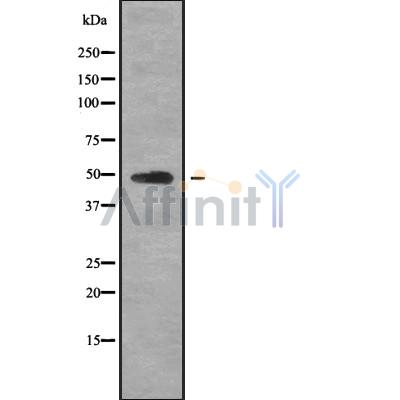 Валидация Affinity DF9000 - 21208