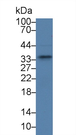 9397