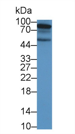 14128