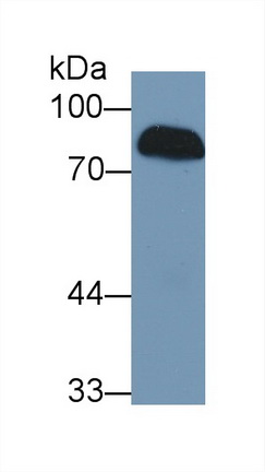 13400