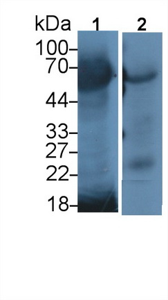 19311