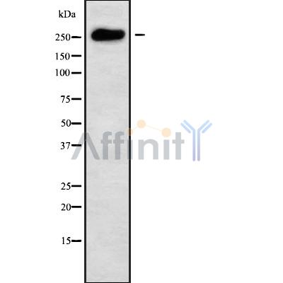 Валидация Affinity DF9641 - 22376
