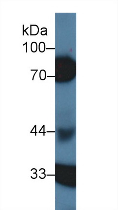 9892