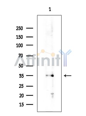 Валидация Affinity AF5326 - 2895