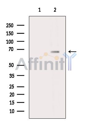 Валидация Affinity DF16049 - 12604