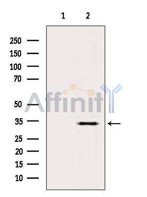 Валидация Affinity DF6833 - 18405