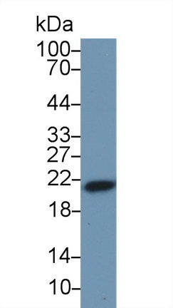 13745