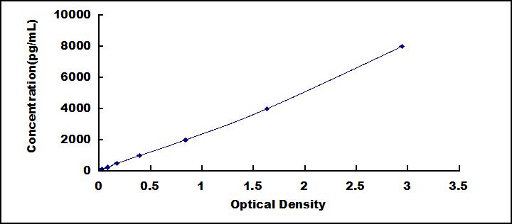 48454