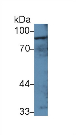 13850