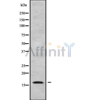 Валидация Affinity DF10164 - 5697