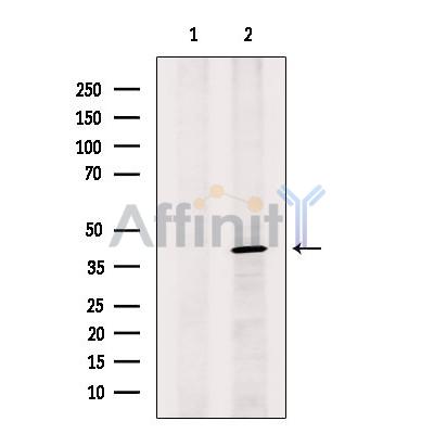 Валидация Affinity DF2737 - 13471