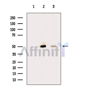 Валидация Affinity DF14635 - 10664