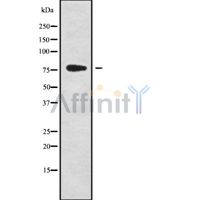 Валидация Affinity DF9540 - 22193