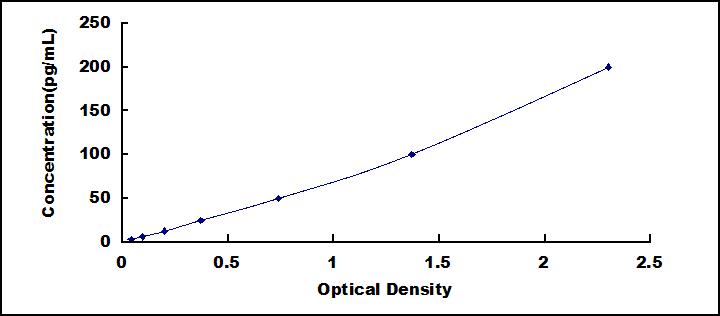49217