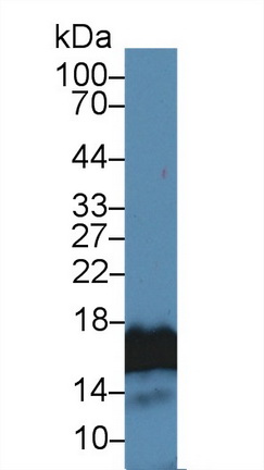 17588