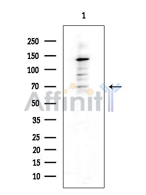 Валидация Affinity DF3472 - 14386