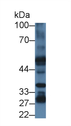 12563