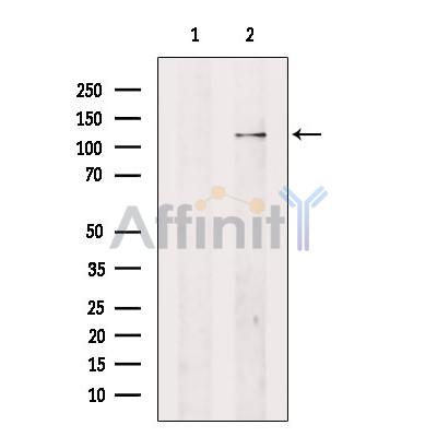 Валидация Affinity DF3507 - 14429