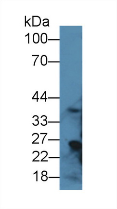 8790