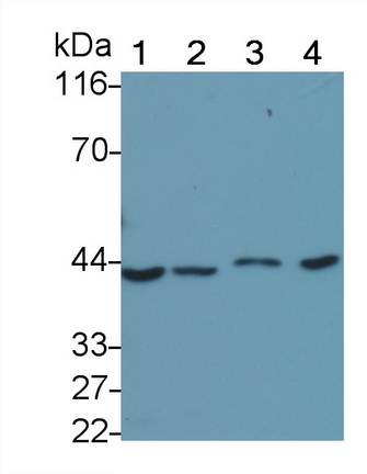 22859