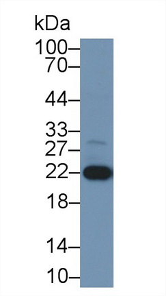 13770