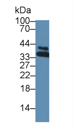 8679