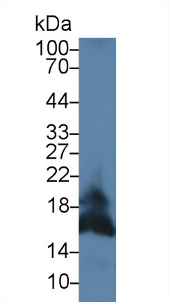 9268