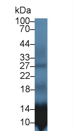 17673