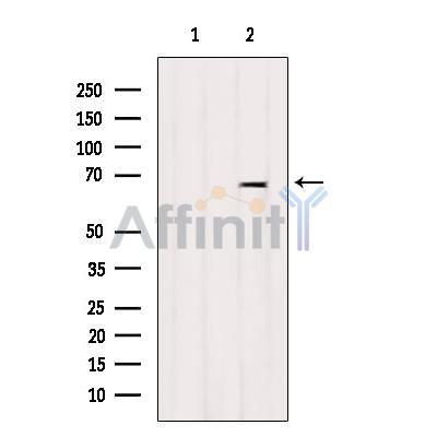 Валидация Affinity DF9229 - 21642