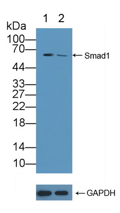 12107