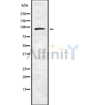 Валидация Affinity DF8120 - 19969