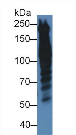 8829