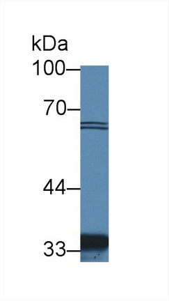 12380
