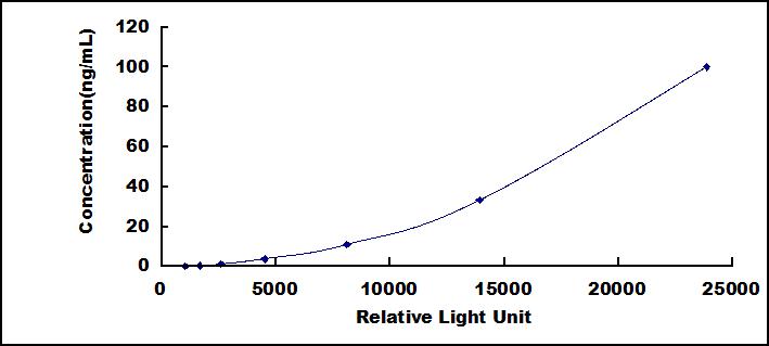 46284
